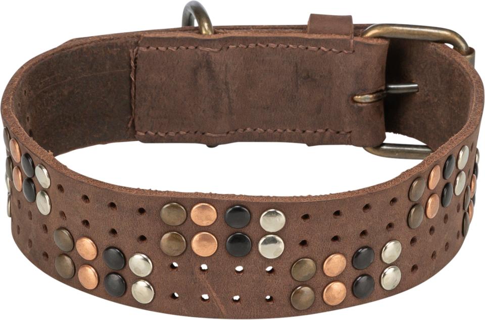 Trixie Rustic Greased leather collar Rivets, extra wide