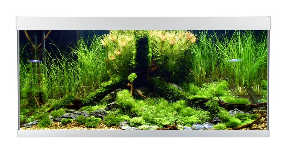 AkvaStabil ELEMENT Aquarium