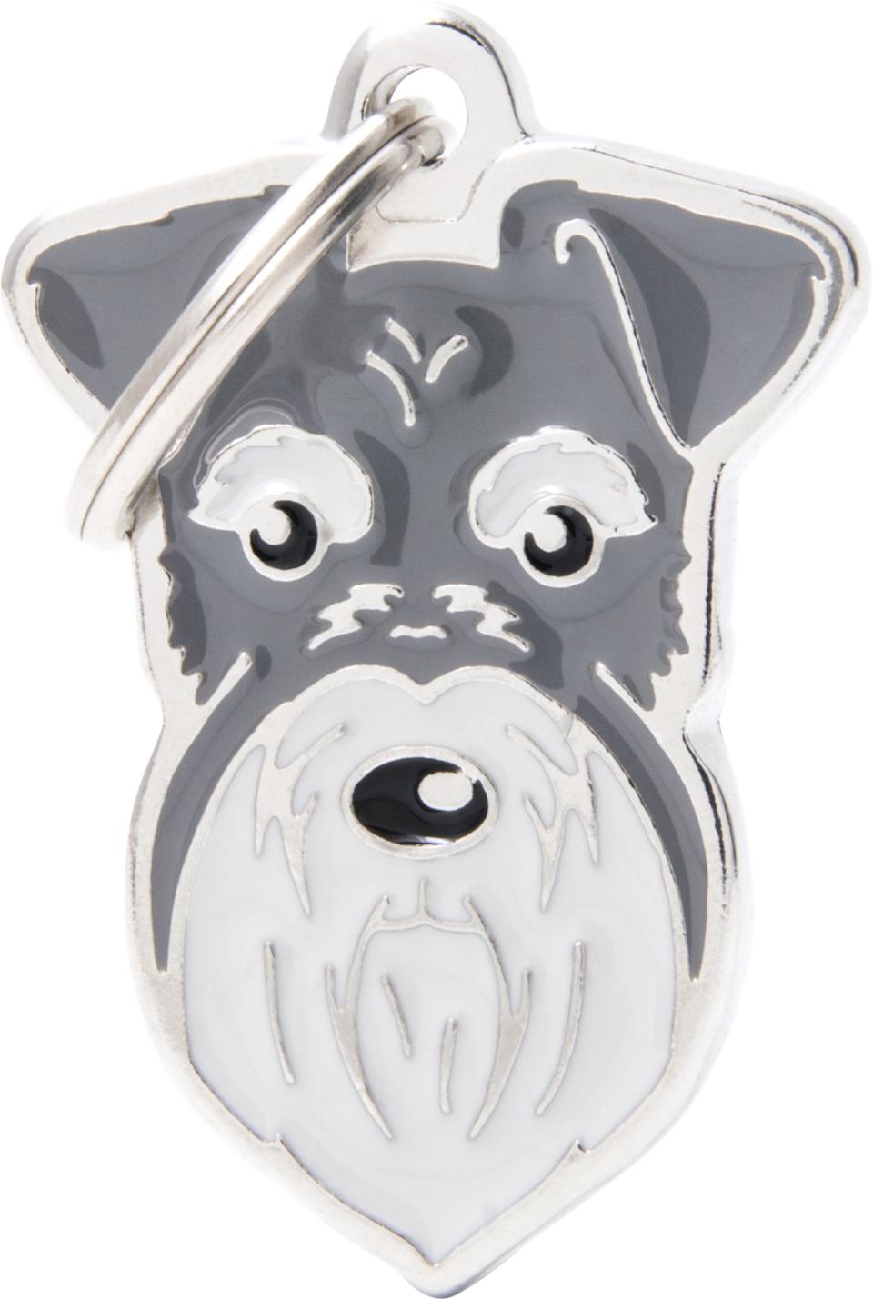 MyFamily Friends, Schnauzer