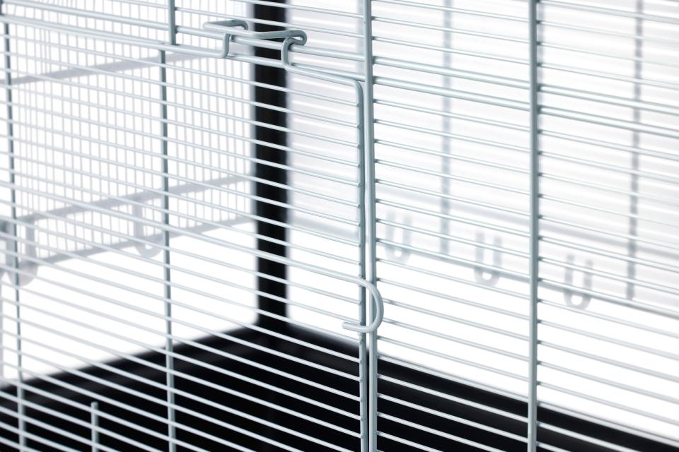 Savic Aura 120 Plexi Knock Down