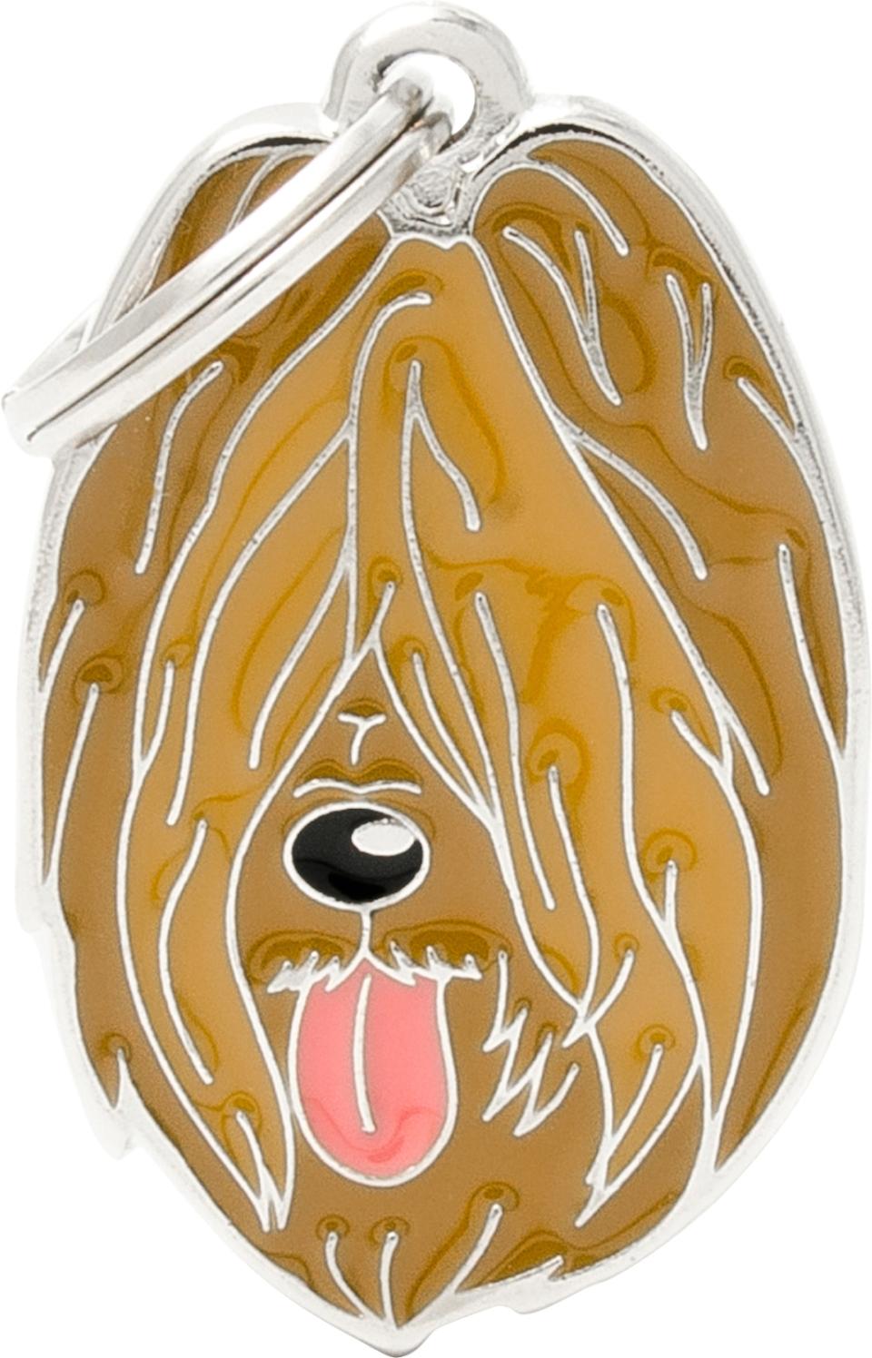 MyFamily Friends, Briard