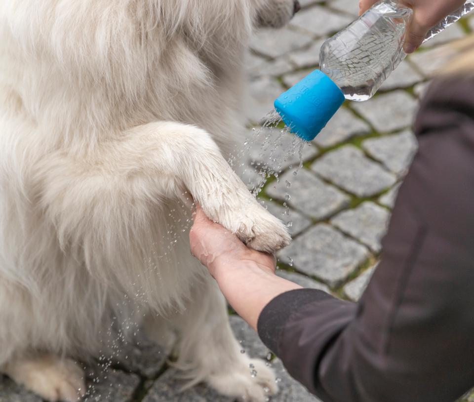 Trixie Mobile dog shower