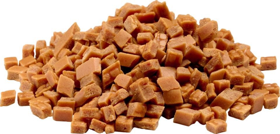 Companion Mini Cubes (salmon)