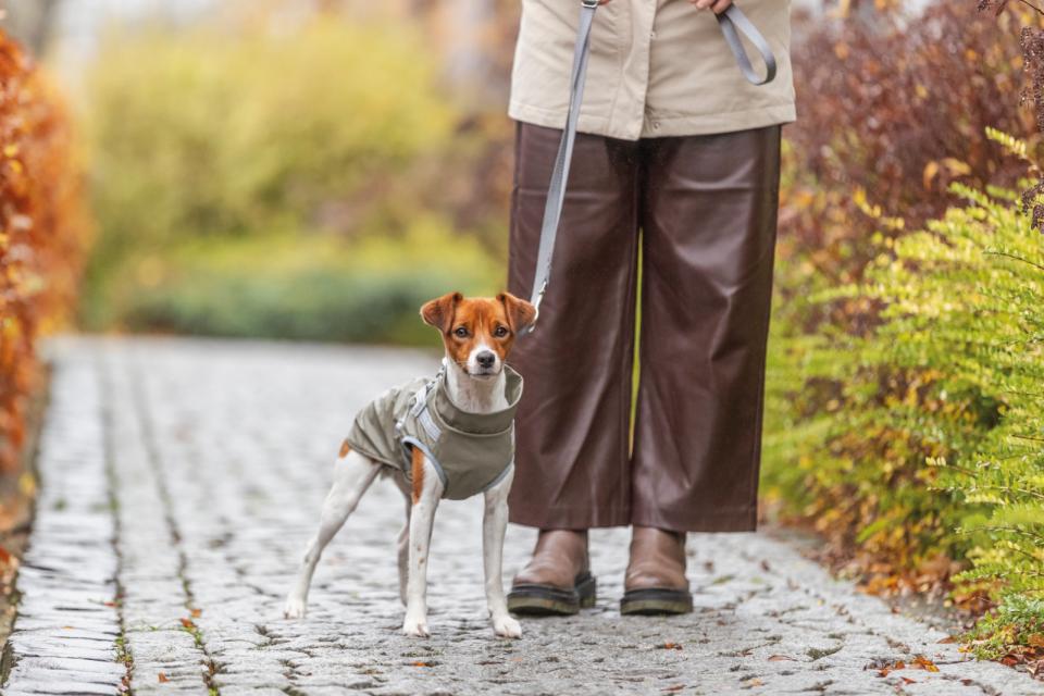 Trixie Pontis rain dog coat with harness