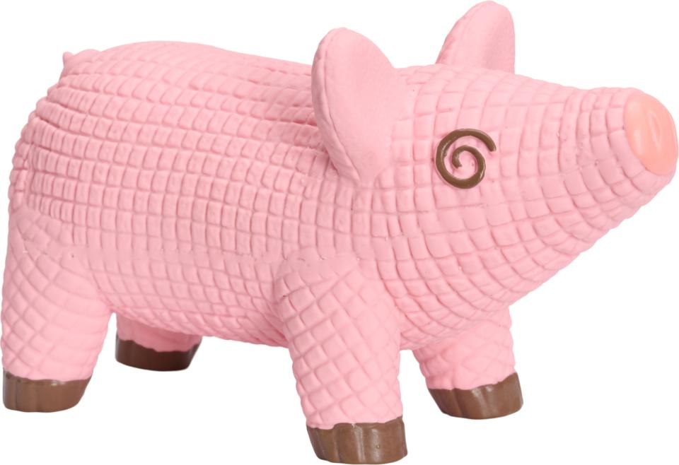 Companion latex pivedyr, gris