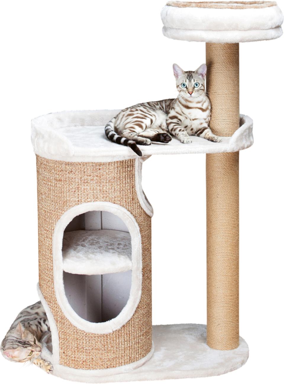 Falco Scratching Post