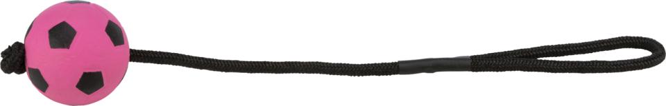 Sport Ball on a Rope