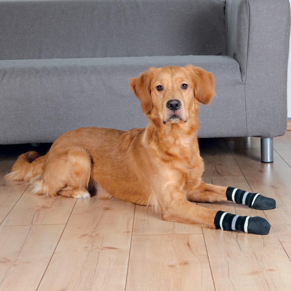 Dog socks