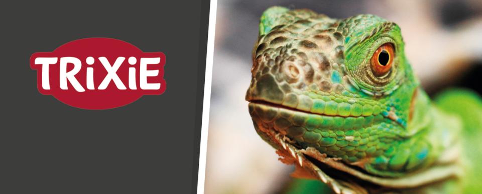 Magnet skilt t. Tego reol Reptiland