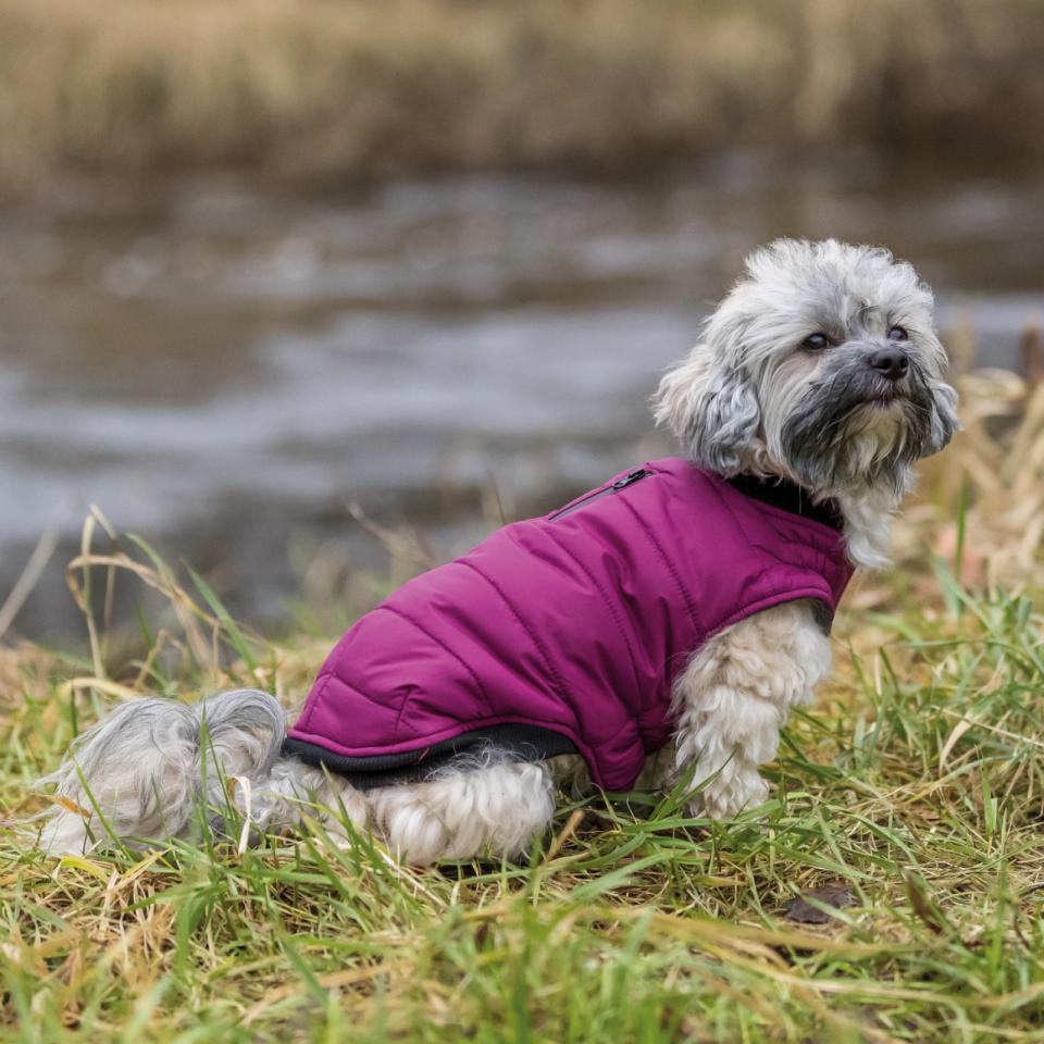 Trixie Arlay hundjacka