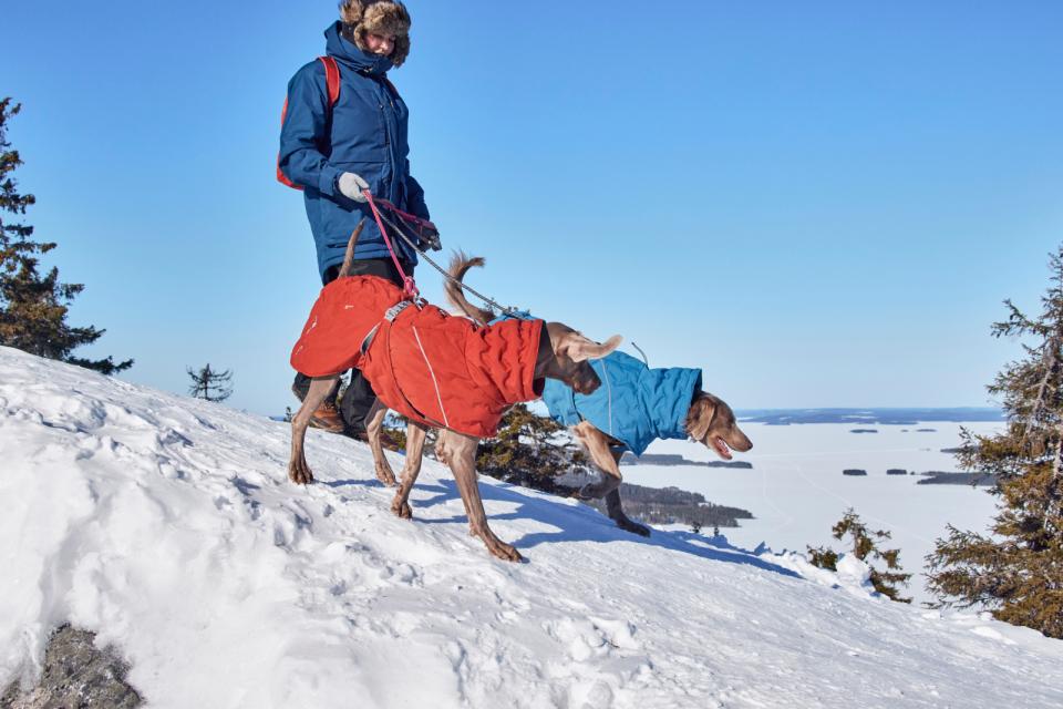 Hurtta Extreme Warmer III ECO