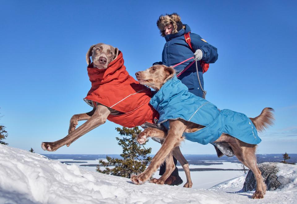 Hurtta Extreme Warmer III ECO