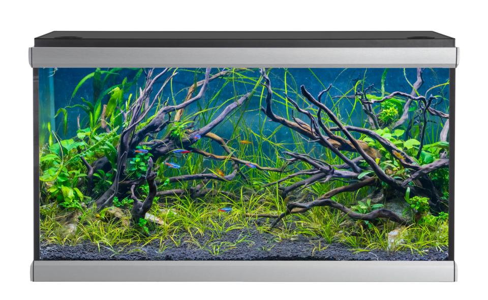AkvaStabil MOVE akvarium - 275 liter