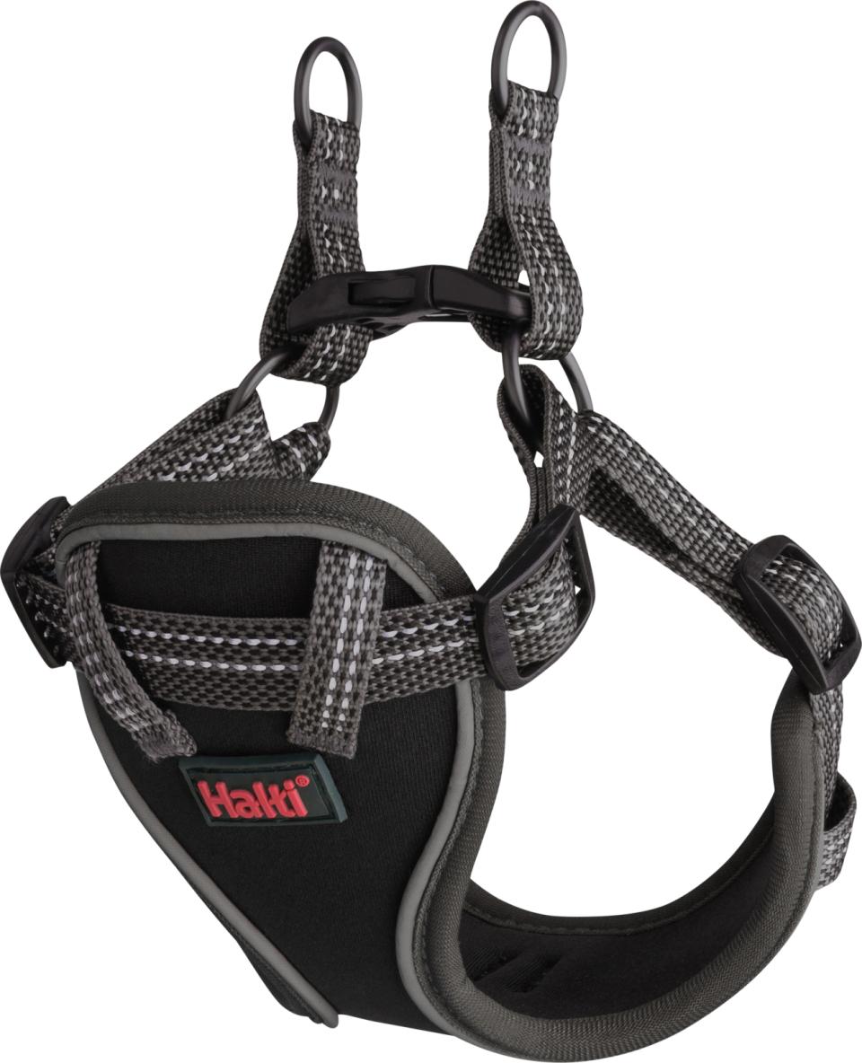 Halti Anatomy puppy harness