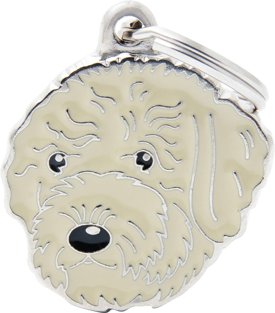 MyFamily Friends, Lagotto