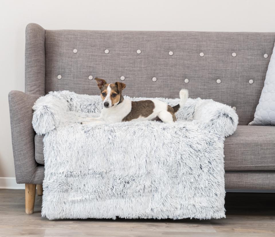 Harvey Furniture Protector Dog Bed