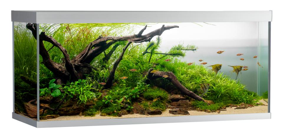 AkvaStabil ELEMENT Aquarium