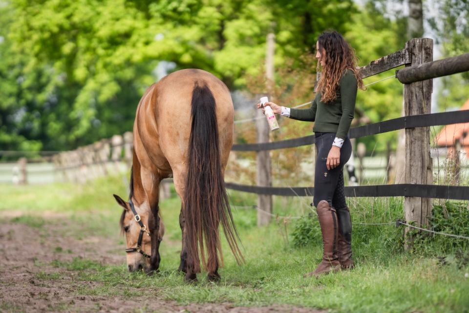 Bense & Eicke Häst Deo Superfresh