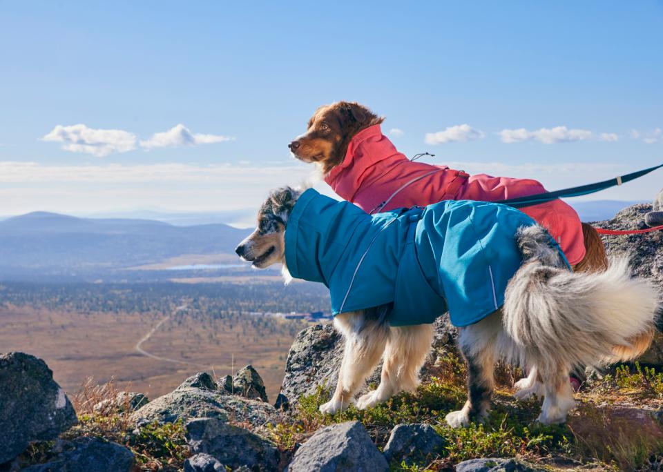 Hurtta Expedition Parka II dog rug