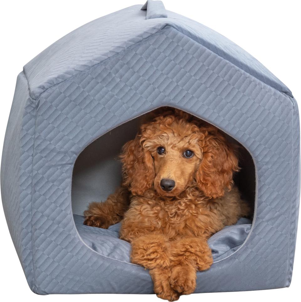 Trixie Alena hundehule