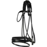 CATAGO SHAY rolled bridle
