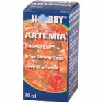 Artemia ägg