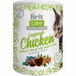 Care Snack Superfruits Chicken