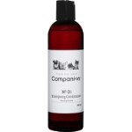 Companion 2 in 1 shampoo 250ml