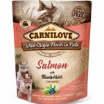 CARNILOVE Pouch Salmon w/Blueberries for puppies