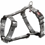 Silver Reflect H-harness