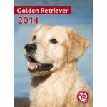 Calendar Golden Retriever