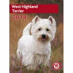 Calendar West Highland Terrier