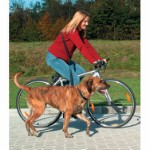 Bicycle and jogging leash