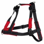 Lead n Walk Soft harness