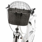 Bicycle basket with lattice