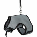 Soft Soft Harness with Leash