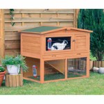 Small Animal Hutch with Enclosure