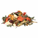 Natural Food Mixture for Bearded Dragons